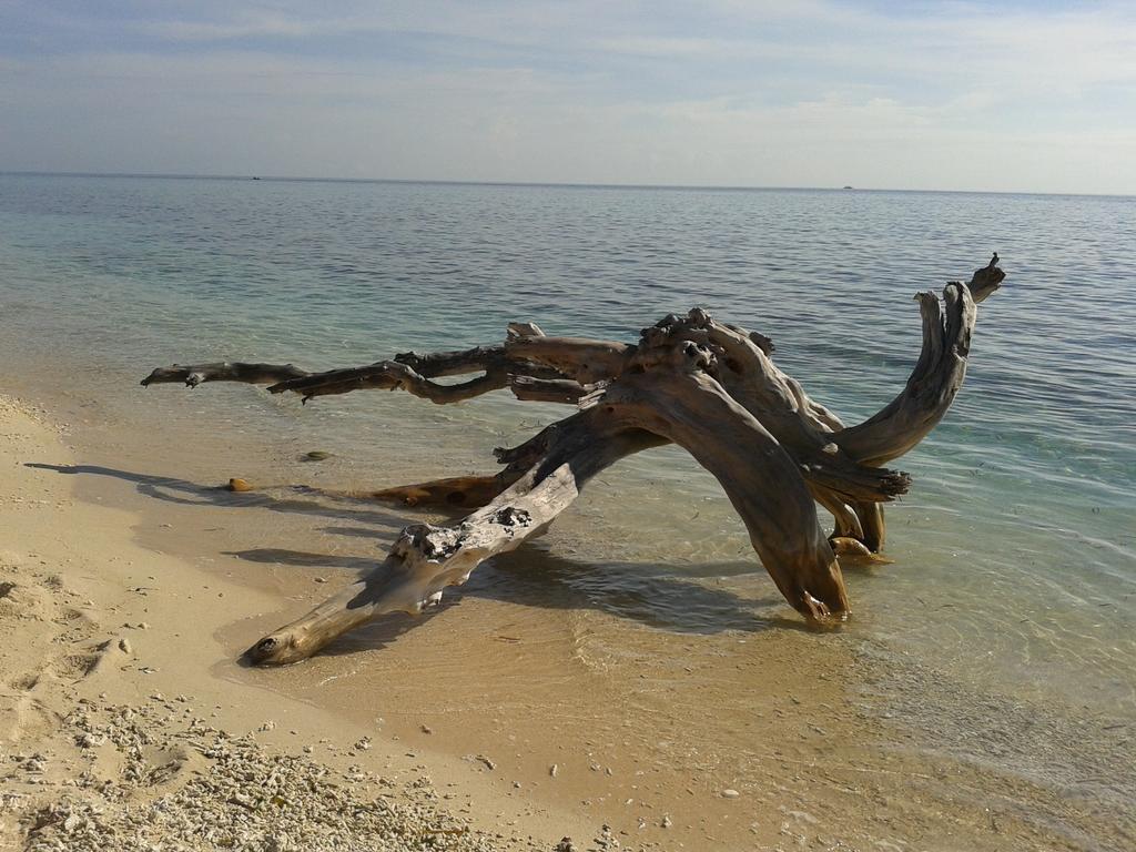 Putri Homestay Gili Meno Ngoại thất bức ảnh
