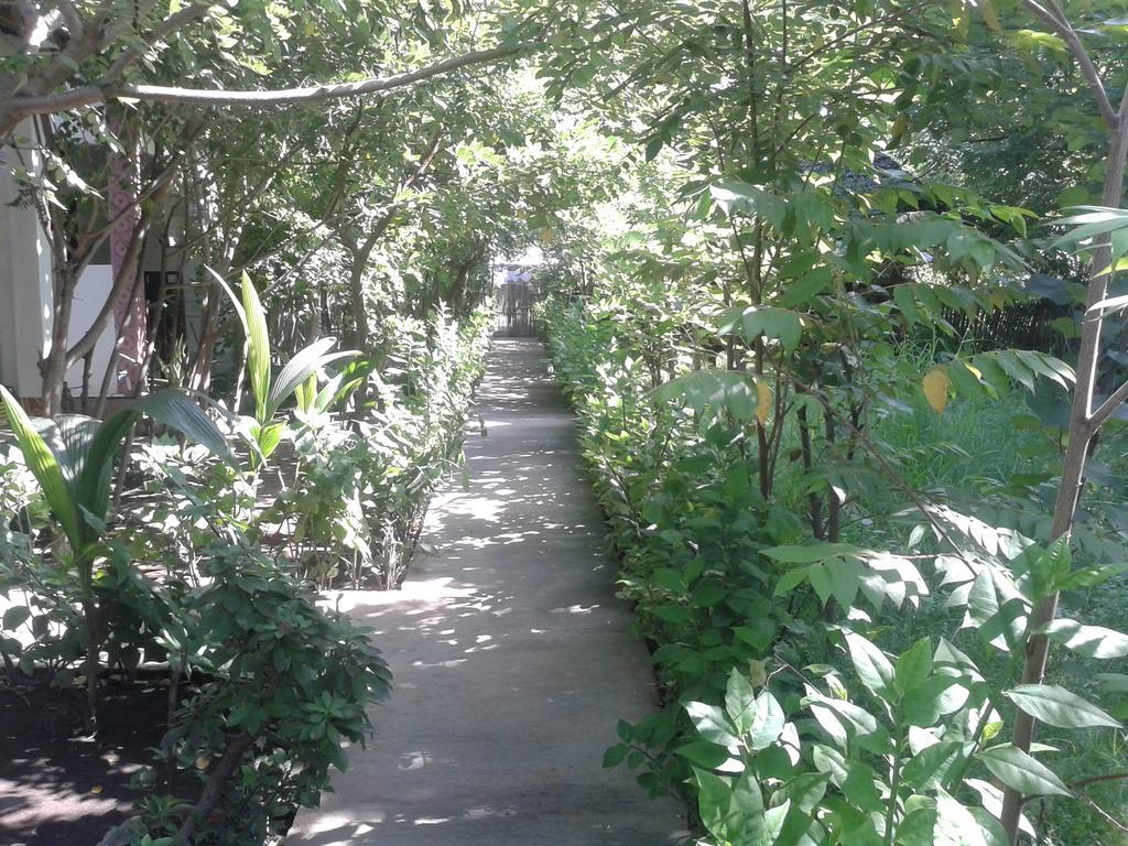 Putri Homestay Gili Meno Ngoại thất bức ảnh