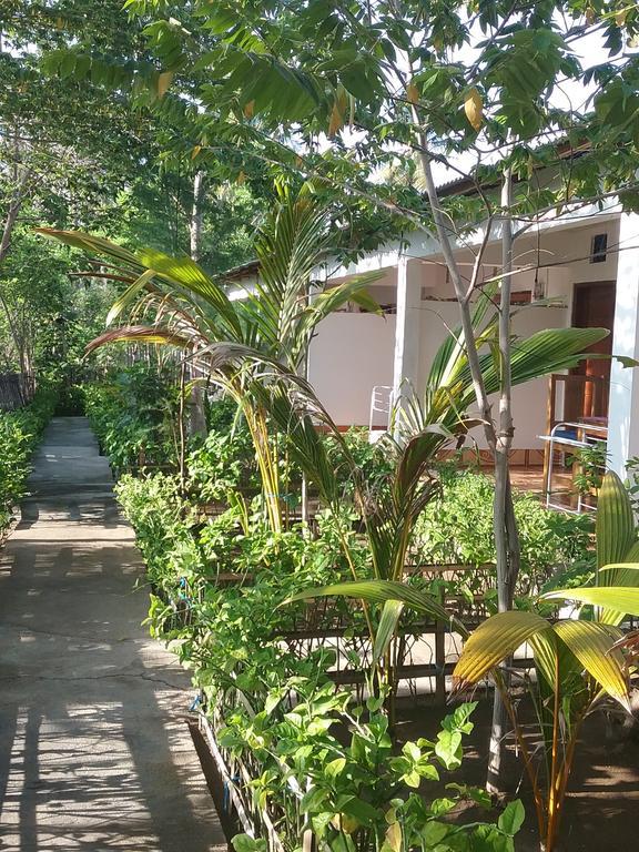 Putri Homestay Gili Meno Ngoại thất bức ảnh