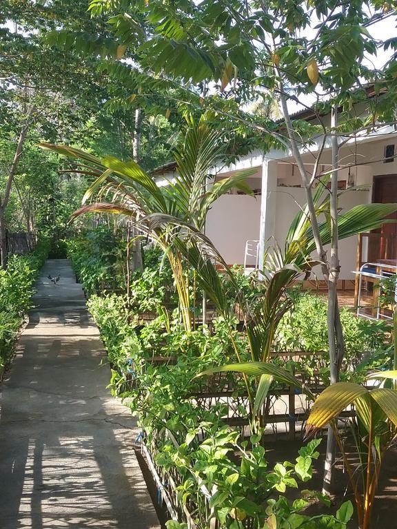 Putri Homestay Gili Meno Ngoại thất bức ảnh